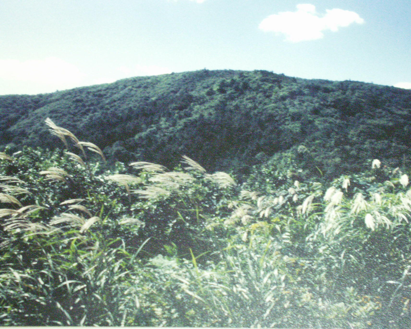 ���̕՘H�|�ݍΊy�R�ƕs���̌���